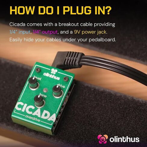 Olinthus Cicada Overdrive – World's Smallest Guitar Effects Mini Pedal in Saudi Arabia