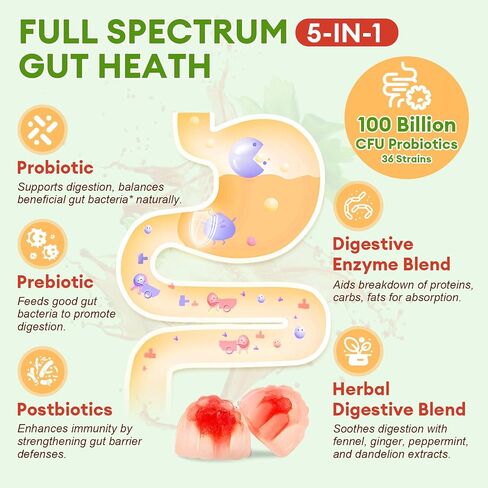 Sugar Free 5-in-1 Probiotic Prebiotic Postbiotic Gummy, Probiotics for Women Men with Digestive Enzymes, Peppermint, Complete Immune, Gut & Digestive Support, Vegan, 60 Cts, Strawberry Flavor in Kuwait
