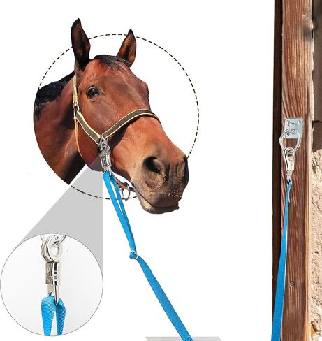 صليب العلاقات للحصان ، 4 عبوة قابلة للتعديل نايلون Cross Ties Ties Tie Tie Tie Tie-Faner مع Snap Snap و Bull Snap ، طول قابل للتعديل من 44.5-78.5 بوصة ، أسود in Kuwait