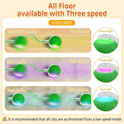 لعبة Cat Toys Interactive Ball للقطط الداخلية ، كرة قطة متحركة حديثًا ، ألعاب Cat Tail 2.0 السريعة مع شبكة مرنة ، ألعاب هريرة أوتوماتيكية للقطط البالغة بالملل (أحمر) in Kuwait