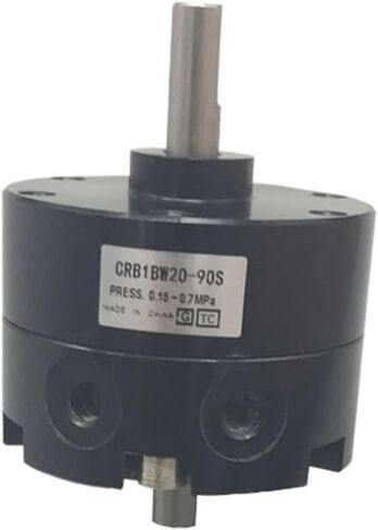 CRB1BW Series Vane Type Pneumatic Rotary Swing Cylinder CRB1BW10-90S CRB1BW10-180S CRB1BW10-270S CRB1BW20-270S(CRB1BW15-180S,with Magnetic Switch) in Saudi Arabia