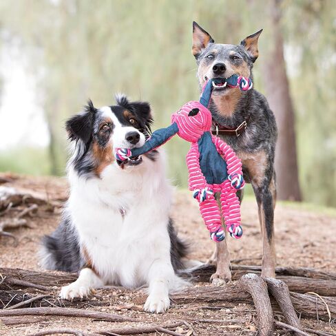 Kong Floppy Cnots Jumbo XL Fox Dog Toy-أفخم للغاية مع هيكل عظمي حبل معقود ، صرير مزدوج ، الحد الأدنى من الحشو ، ناعم ودائم للجر ، التقلب والتحلل in Kuwait