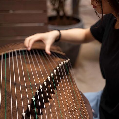 الصينية Zither ، Guzheng ، صينية صينية ، Gu Zheng ، خشب المسن يدويًا ، صوت حرفي 20 عامًا ، صوت طبيعي in Saudi Arabia