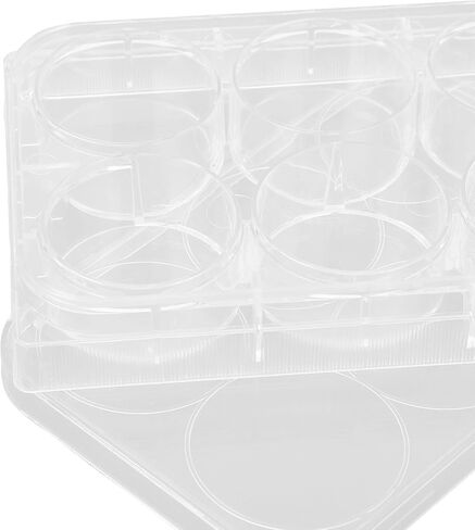 Bewinner Tissue Culture Plate, Uniform Thickness, Sturdy, Highly Transparent, Widely Used, 10 Piece Culture Plate with 10 Lids for Experiments (6 Holes) in Saudi Arabia