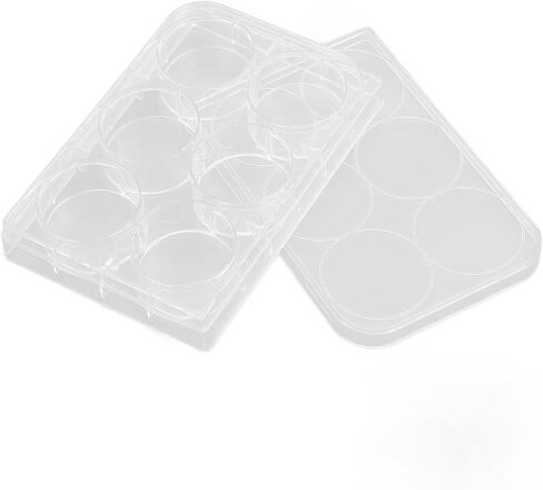 Bewinner Tissue Culture Plate, Uniform Thickness, Sturdy, Highly Transparent, Widely Used, 10 Piece Culture Plate with 10 Lids for Experiments (6 Holes) in Saudi Arabia