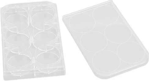 Bewinner Tissue Culture Plate, Uniform Thickness, Sturdy, Highly Transparent, Widely Used, 10 Piece Culture Plate with 10 Lids for Experiments (6 Holes) in Saudi Arabia