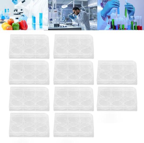 ANGGREK Culture Plate 10pcs Heavy Duty High Transparent Flat Bottom Culture Plate Durability Convenient Thickness Uniform for Experiments (12 Well) in Saudi Arabia