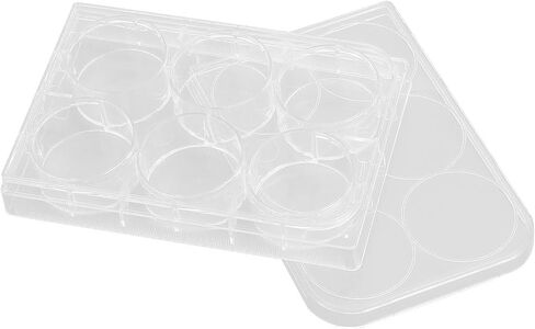 ANGGREK Culture Plate 10pcs Heavy Duty High Transparent Flat Bottom Culture Plate Durability Convenient Thickness Uniform for Experiments (12 Well) in Saudi Arabia