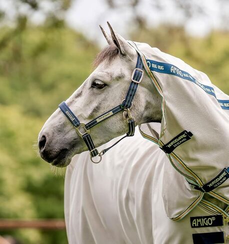 Horseware® Fieldsafe Halter in Saudi Arabia