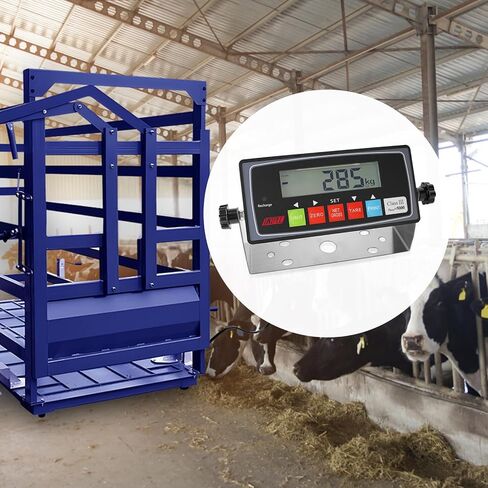 10000 رطل مقياس للماشية مؤشر عالي الدقة ، مجموعة مقياس الأرضية مع مؤشر NTEP مناسب لمقياس المنصة الإلكترونية لخنازير ماشية الأغنام in Kuwait