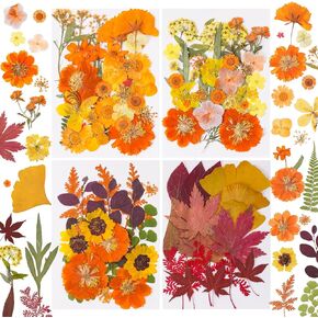 100 PCS مجفف الزهور المضغوطة للأوراق الجافة الراتنج مناسبة ل SCRABKING DIY الحرف المجوهرات الصابون صنع شمعة in Kuwait