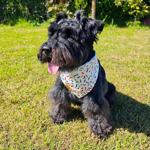 Birthday Dog Bandanas Medium Large, Colorful Sprinkle Stripes, Reversible Soft Breathable Adjustable Scarf for Small Medium Large Dogs Boy Girl Party Outfit Accessory FW2 in Saudi Arabia