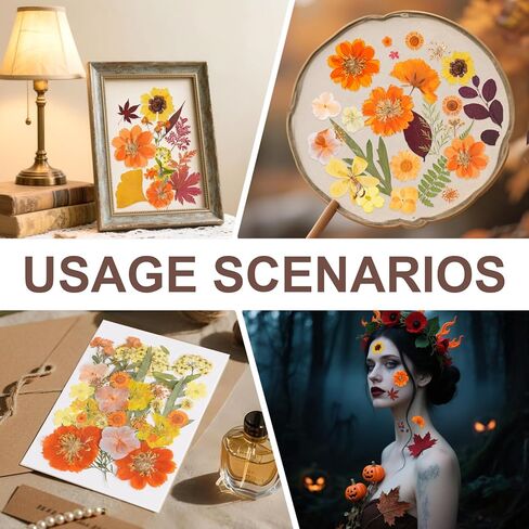 100 PCS مجفف الزهور المضغوطة للأوراق الجافة الراتنج مناسبة ل SCRABKING DIY الحرف المجوهرات الصابون صنع شمعة in Saudi Arabia