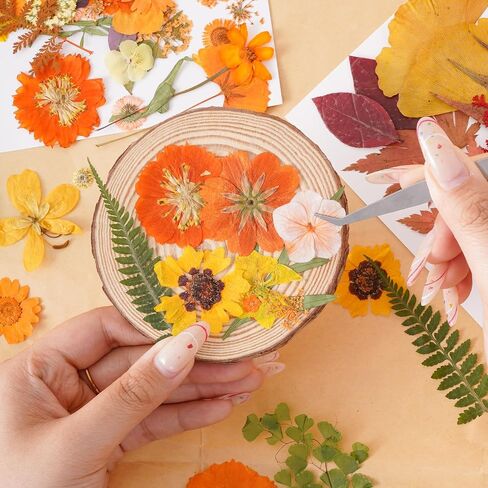 100 PCS مجفف الزهور المضغوطة للأوراق الجافة الراتنج مناسبة ل SCRABKING DIY الحرف المجوهرات الصابون صنع شمعة in Saudi Arabia