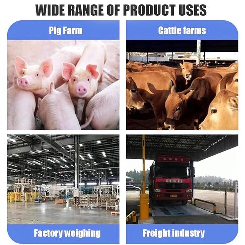 طقم مقياس للماشية عالي الدقة الحد الأقصى للحمل 5000 كيلوغرام مقاوم للماء الحمل الحمولة الحمولة الموافقة in Kuwait