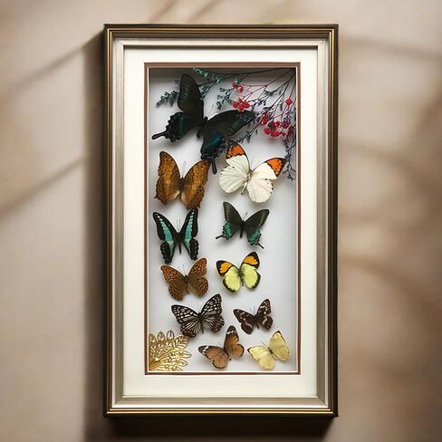 True Colorful Butterfly Specimen Photo Frame, Insect Specimen,Oddities, Biology, Used for Science Education, Gothic Home Decoration Aesthetics (Multicolored Butterfly Vertical Frame) in Kuwait