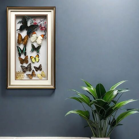 True Colorful Butterfly Specimen Photo Frame, Insect Specimen,Oddities, Biology, Used for Science Education, Gothic Home Decoration Aesthetics (Multicolored Butterfly Vertical Frame) in Kuwait