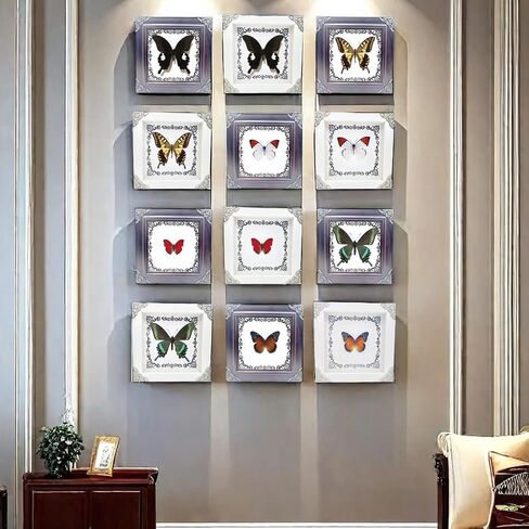 True Colorful Butterfly Specimen Photo Frame, Insect Specimen,Oddities, Biology, Used for Science Education, Gothic Home Decoration Aesthetics (Multicolored Butterfly Vertical Frame) in Kuwait