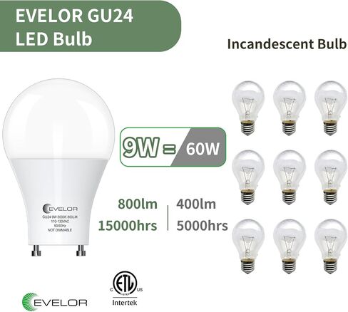 GU24 LED Light Bulb,60 Watt Equivalent Daylight White 5000K,Non-Dimmable,Efficient 9W,800 Lumens Twist and Lock 2 Prong Light Bulbs,15000 Hours,Ideal for Kitchen,Living Room,Bedroom, 4-Packs in Saudi Arabia