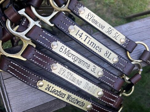 Leaders Engraved Deluxe Halter/Stable Brass Plate Name Plate in Saudi Arabia