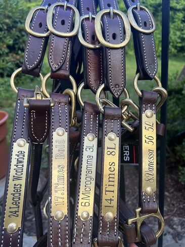 Leaders Engraved Deluxe Halter/Stable Brass Plate Name Plate in Saudi Arabia