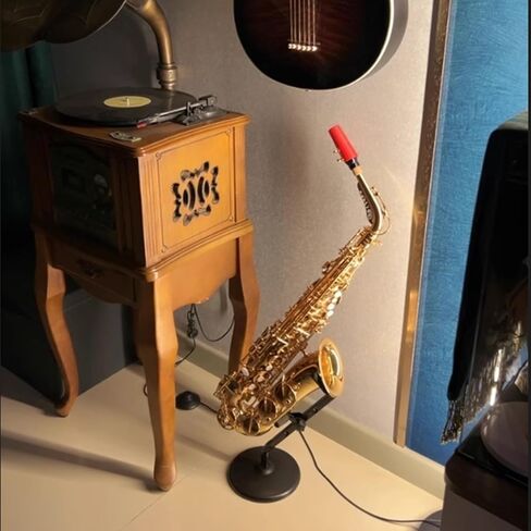 حامل الساكسفون ، قوس قابلة للفصل الحديد ، رف عرض الأرضية ، مناسب ل Saxophone Alto/Soprano ، سهل التجميع in Saudi Arabia