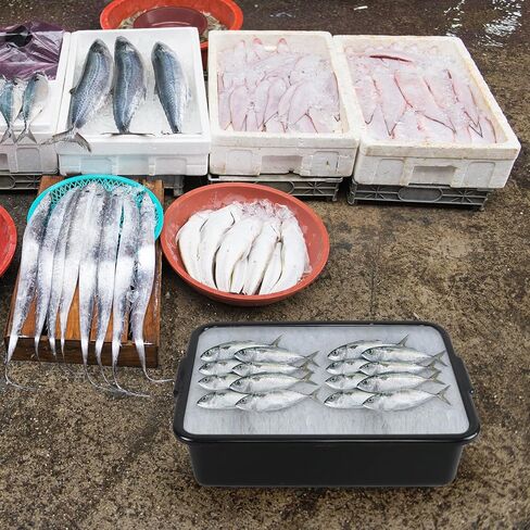 صندوق حافلات تجاري بلاستيكي من 4 عبوات ، 13 لتر من صناديق الحافلات للمطعم ، الأسود in Kuwait