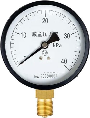 YE-100 Diaphragm Pressure Gauge Micro Pressure Gauge Low Pressure Gauge 0-25kPa(0-25kPa) in Saudi Arabia
