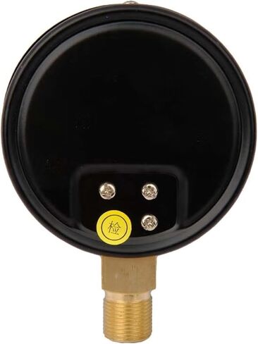 YE-100 Diaphragm Pressure Gauge Micro Pressure Gauge Low Pressure Gauge 0-25kPa(0-25kPa) in Saudi Arabia