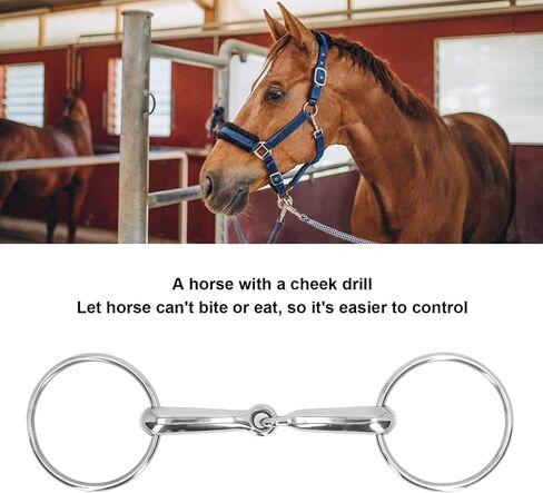 Topyond Horse Snaffle Bit, Stainless Steel D-Ring Horse Bits Western, Enhanced Control and Comfort, Jointed Chewing Mouth Roller, Suitable for Training Horses in Saudi Arabia