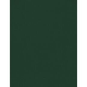 LUXPaper 8.5" x 11" Cardstock | Letter Size | Green Linen | 100lb. Cover (183lb. Text) | 50 Qty