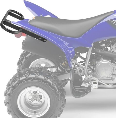 WeiSen Rear Wide Grab Bar Bumper Compatible with 2008-2013 Yamaha Raptor 125 250 ATV in Saudi Arabia