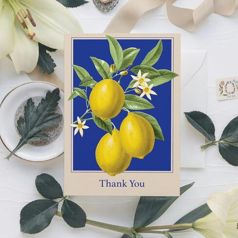 Punch Studio Boxed Notecards Elegant Blank 12-Count Thank You Cards with Embossed Detail, 3.5" x 5", Jacobean in Saudi Arabia