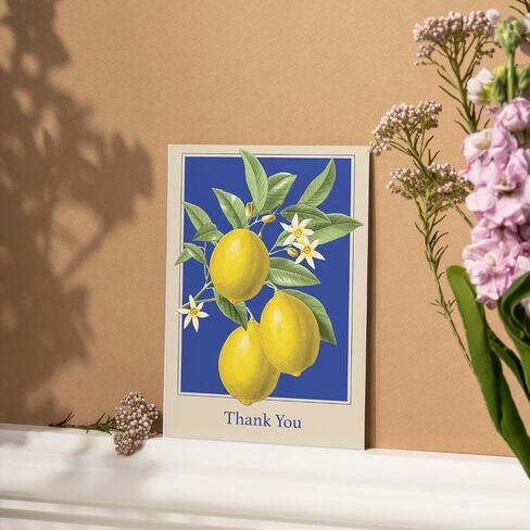 Punch Studio Boxed Notecards Elegant Blank 12-Count Thank You Cards with Embossed Detail, 3.5" x 5", Jacobean in Saudi Arabia