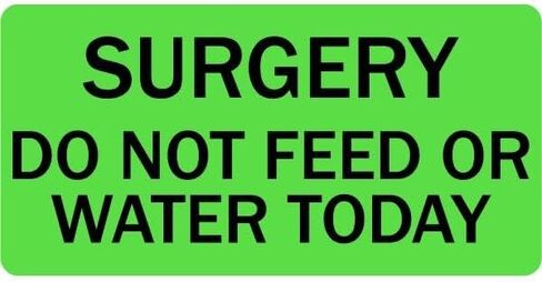 Surgery Do Not Feed Or Water Today - Veterinary Labels - 2" x 1", [500 Labels/1 Roll], Fluorescent Green | Medical Charts or Cages - Key Information Leading Up to Animal's Surgery | LabelValue Brand in Saudi Arabia