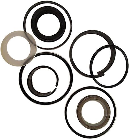 One New Cylinder Seal Kit Fits Case 1835, 1835B, 480C, 480D, 480D LL, 480E, 580C 580 480C 1845 480 1845C Models Interchangeable with G109476, G109476-A, LQ01V00007S007, LQ01V00007S007-A in Saudi Arabia