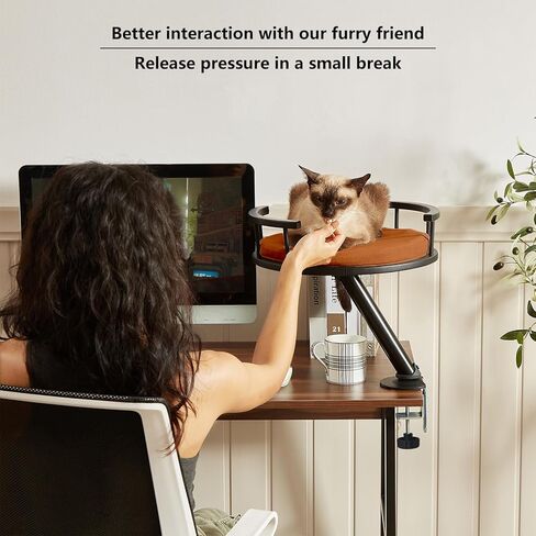 سرير Double Cat Desk - مرفق سطح المكتب اثنين من القطط للمكتب المنزلي ، سرير أرجوحة داخلي قابل للدوران ، 2 عش مرتفعة للطاولة ، القطط المزدوجة مشبك المشبك للمطاولة (أسود) in Kuwait