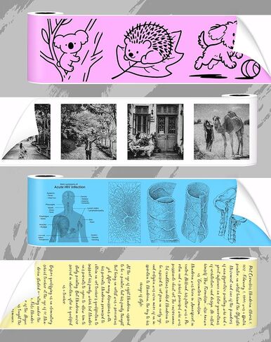 vretti 10 Roll Mini Printer Photo Paper, 57mmx 6m Thermal Printer Paper White for TP2-Y Portable Thermal Pocket Printer Paper for Study Notes, Pictures,Label in Kuwait