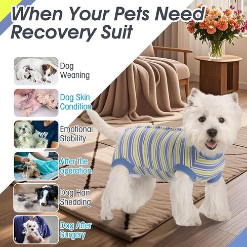 Dog Surgery Recovery Suits, Dog Recovery Suit for Male/Female, E-Collar & Cone Alternative Surgical Suit for Small and Medium Dogs After Surgery, Striped Dog Onesie Pajamas in Kuwait