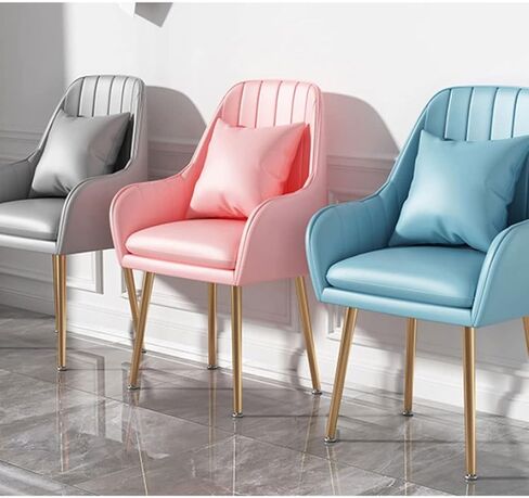 Office Chair Makeup Back Chair Bedroom Ladies Dresser Chair Suitable for Bedroom Office Hotel Seated Comfortable Back Chair Home Office Desk Chairs(C) in Saudi Arabia