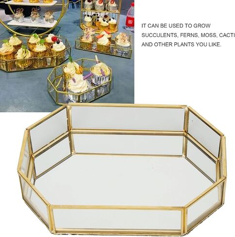Glass Storage Box Copper Welding Jewelry Display Box, Mini Gold Fern Cactus Planter Organizer Tray in Saudi Arabia