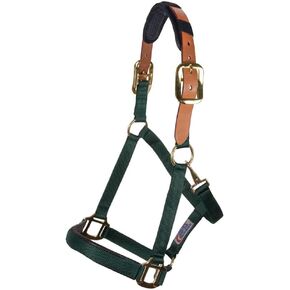 Schneiders Dura-Tech Comfort Plus Nylon Breakaway Halter for Horses | Padded Nose & Crown | Breakaway Leather Crown | Throat Snap | Adjustable Fit for All-Day Comfort in Saudi Arabia