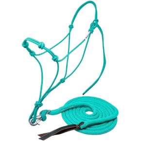 Four Knot Rope Halter and 12 Foot Lead Rope Training Set (Burgundy, Standard) in Saudi Arabia