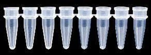PCR Dome Cap Strip 0.2ml PK125 in Saudi Arabia