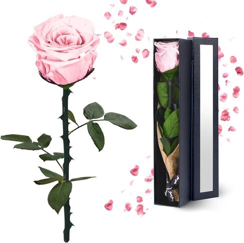 Preserved Roses Flowers Gifts for Mom: Red Real Rose with Necklace for Women Wife Grandma Daughter Sister in Kuwait
