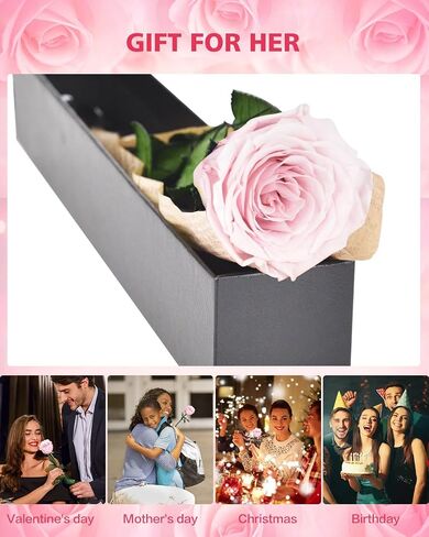 Preserved Roses Flowers Gifts for Mom: Red Real Rose with Necklace for Women Wife Grandma Daughter Sister in Kuwait