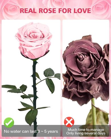 Preserved Roses Flowers Gifts for Mom: Red Real Rose with Necklace for Women Wife Grandma Daughter Sister in Kuwait