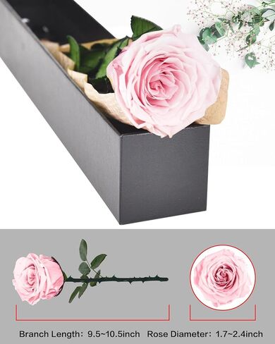 Preserved Roses Flowers Gifts for Mom: Red Real Rose with Necklace for Women Wife Grandma Daughter Sister in Kuwait
