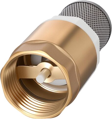 1" Foot Valve, Brass Heavy Duty Check Valve with Filter One Way Valves Female Connection Backflow Preventer Bottom Valves for Water Pump, Wells, Irrigation in Saudi Arabia