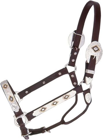 Tough 1 Royal King Gold and Black Inlay Show Halter in Saudi Arabia